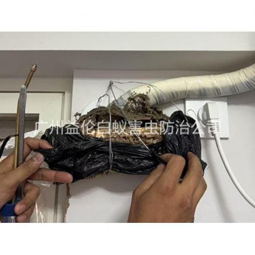 天河房屋白蚁诱杀工程